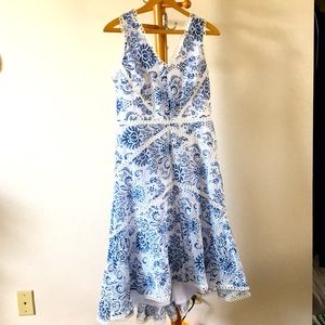 Taylor dress size 12